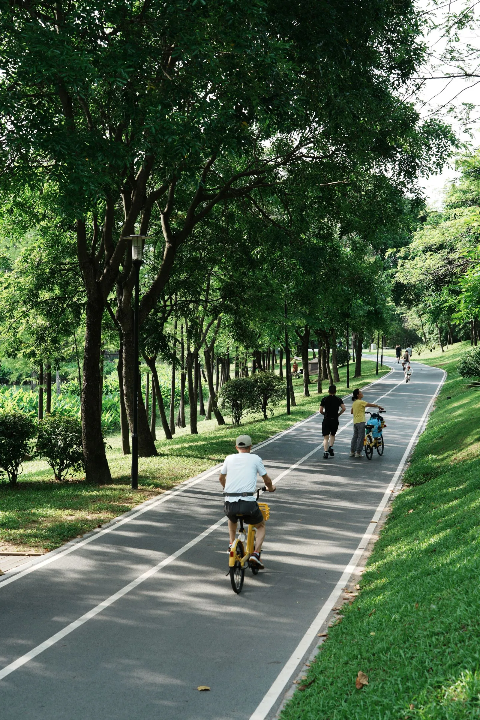 People cycling and walking a tree-lined park trail